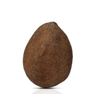 natural whole dry coconut for puja – traditional sriphal for kalash, worship, festivals & religious ceremonies
