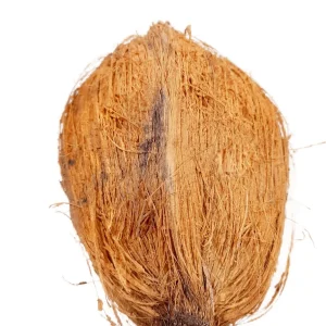 puja nariyal – sacred coconut for hindu worship, kalash sthapana & religious ceremonies