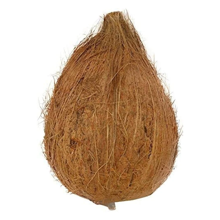 puja nariyal – sacred coconut for hindu worship, kalash sthapana & religious ceremonies puja nariyal – sacred coconut for hindu worship, kalash sthapana & religious ceremonies