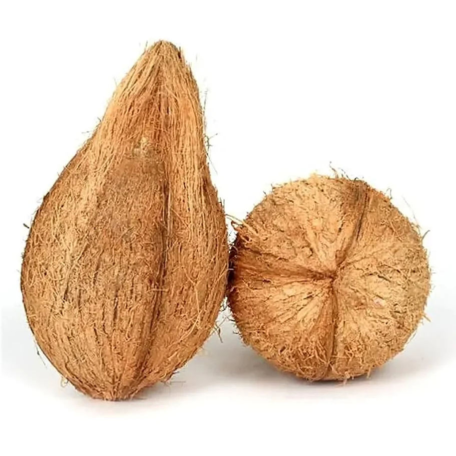 puja nariyal – sacred coconut for hindu worship, kalash sthapana & religious ceremonies puja nariyal – sacred coconut for hindu worship, kalash sthapana & religious ceremonies