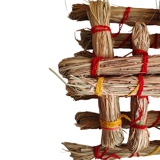 natural kusha grass (darbha grass) – pack of 4 bundles | puja grass for havan, homam, shradh, kalash & religious ceremonies natural kusha grass (darbha grass) – pack of 4 bundles | puja grass for havan, homam, shradh, kalash & religious ceremonies